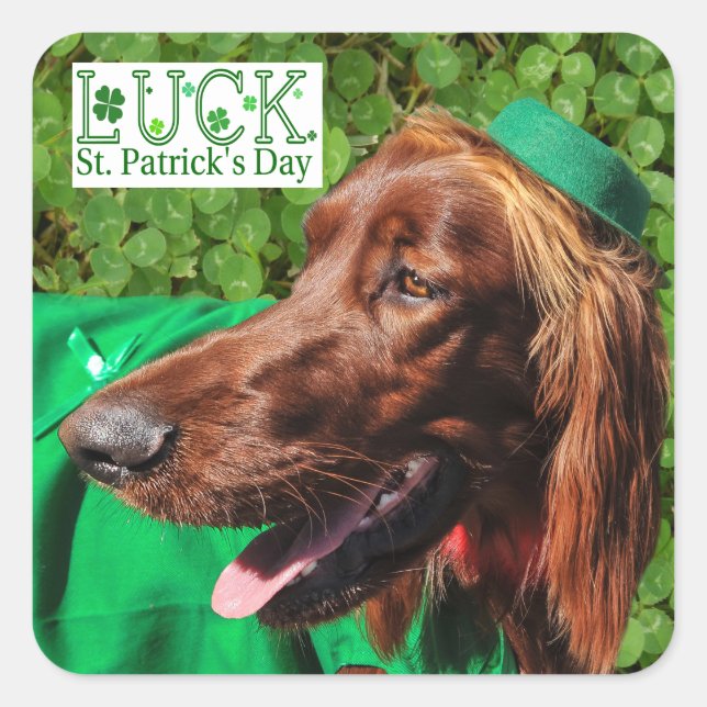 Lucky Irish Setter St. Patrick's Day Stickers (Front)