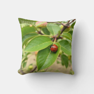 Lucky Ladybug Cushion