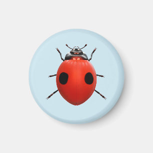 Lucky Ladybug Magnet