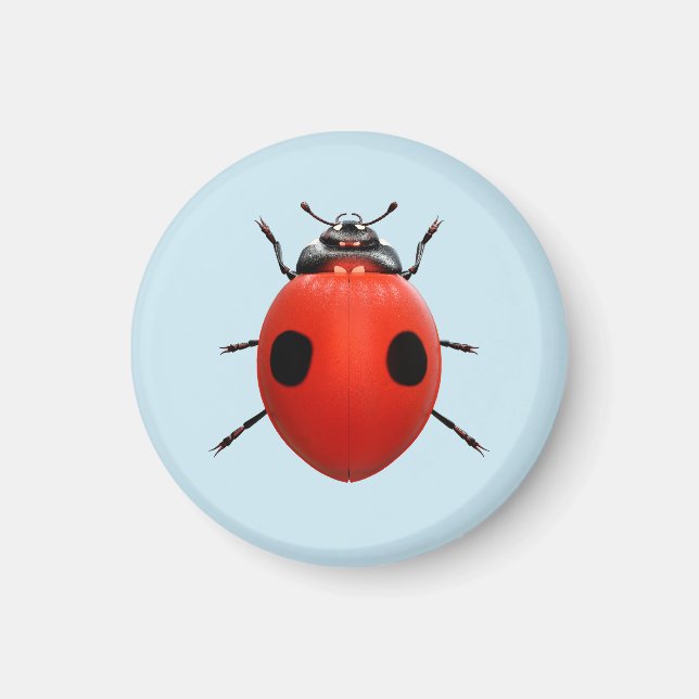 Lucky Ladybug Magnet (Front)