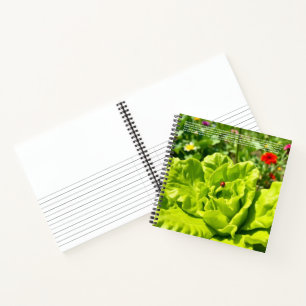 Lucky Ladybug Notebook