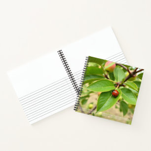 Lucky Ladybug Notebook