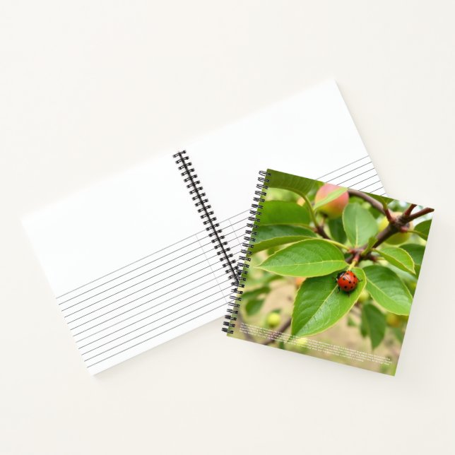 Lucky Ladybug Notebook (Inside)