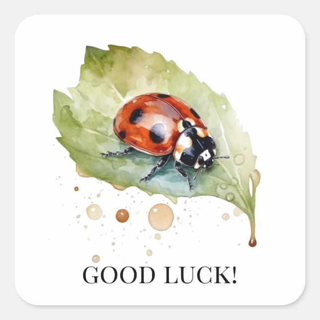 Lucky Ladybug on Leaf Square Sticker (Front)