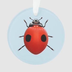 Lucky Ladybug Ornament