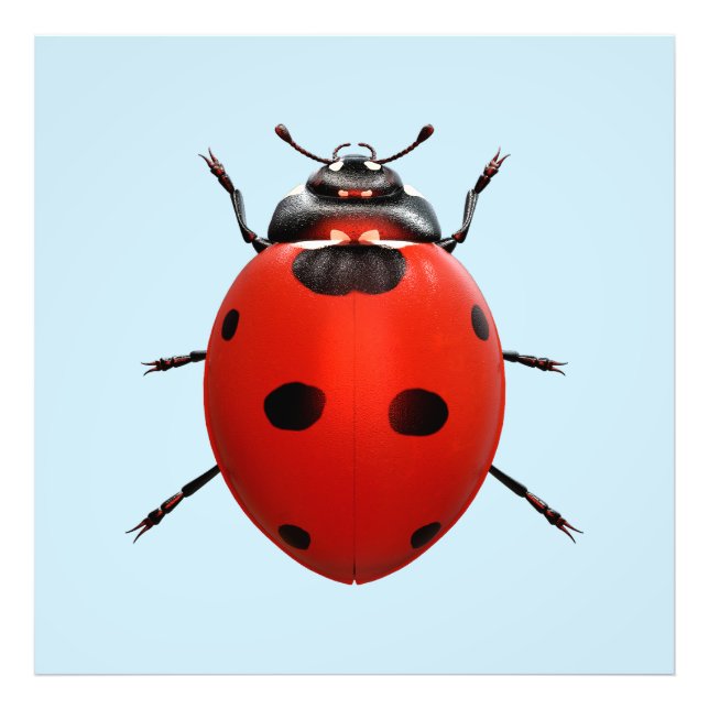 Lucky Ladybug Photo Print (Front)