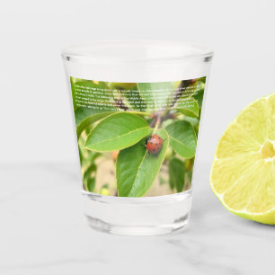 Lucky Ladybug Shot Glass
