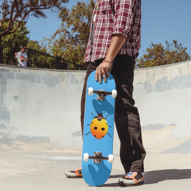 Lucky Ladybug Skateboard (Outdoor 2)