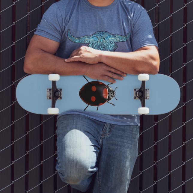 Lucky Ladybug Skateboard (Outdoor 3)