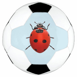 Lucky Ladybug Soccer Ball