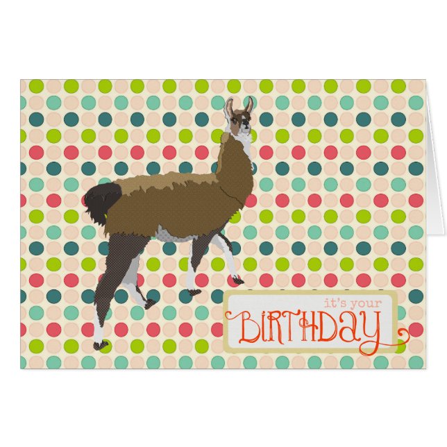 Lucky Llama Birthday  Card (Front Horizontal)