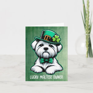 Lucky Maltese Dog Owner Happy St Patricks Day Holiday Card