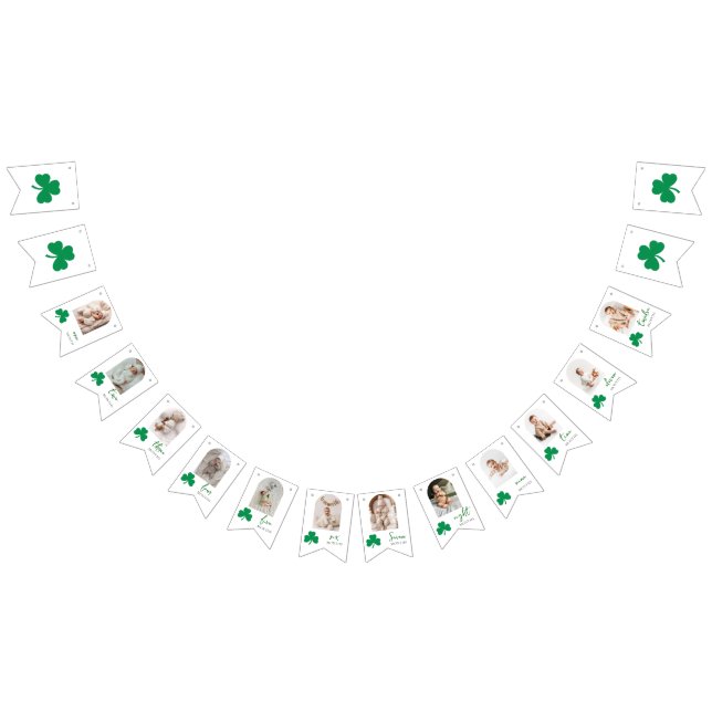 Lucky One Baby Monthly Milestone Photo  Bunting (All)