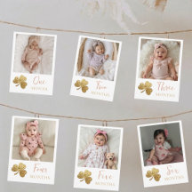 Lucky One First Birthday Monthly Photo Banner