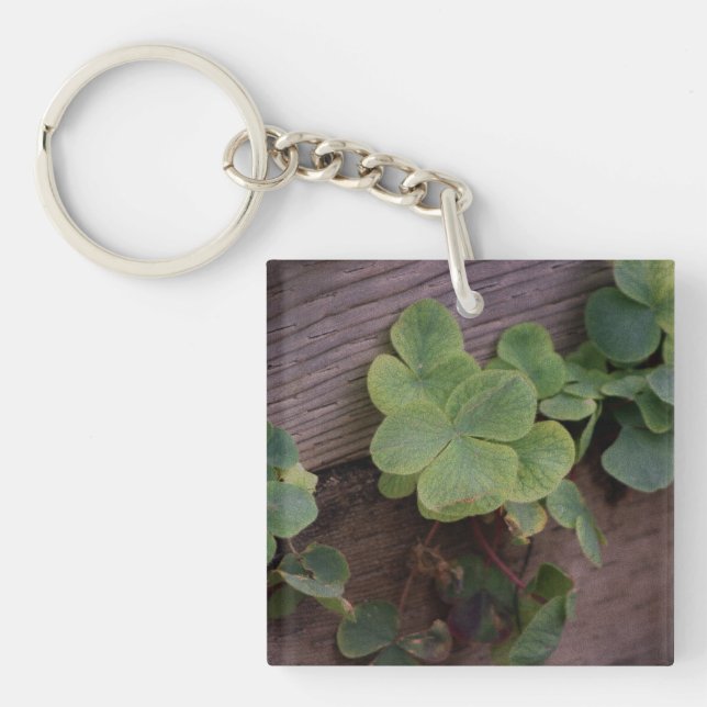 Lucky or Determined? Saint Patricks Day Shamrocks Key Ring (Front)