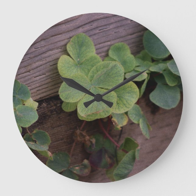 Lucky or Determined? Saint Patricks Day Shamrocks Large Clock (Front)