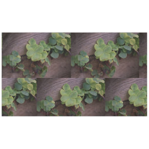 Lucky or Determined? Saint Patricks Day Shamrocks Tablecloth