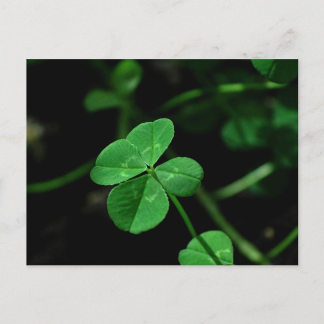 Lucky Postcard (Front)