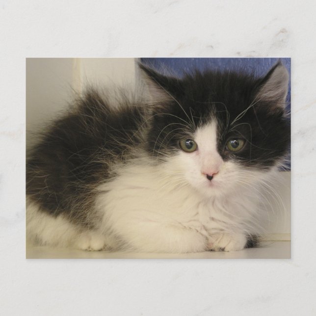 Lucky Postcard (Front)