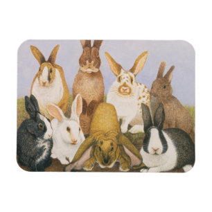 Lucky rabbits magnet
