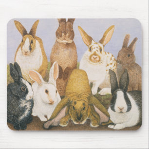 Lucky rabbits mouse pad