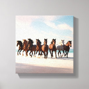 Lucky Seven Horses  Canvas Print