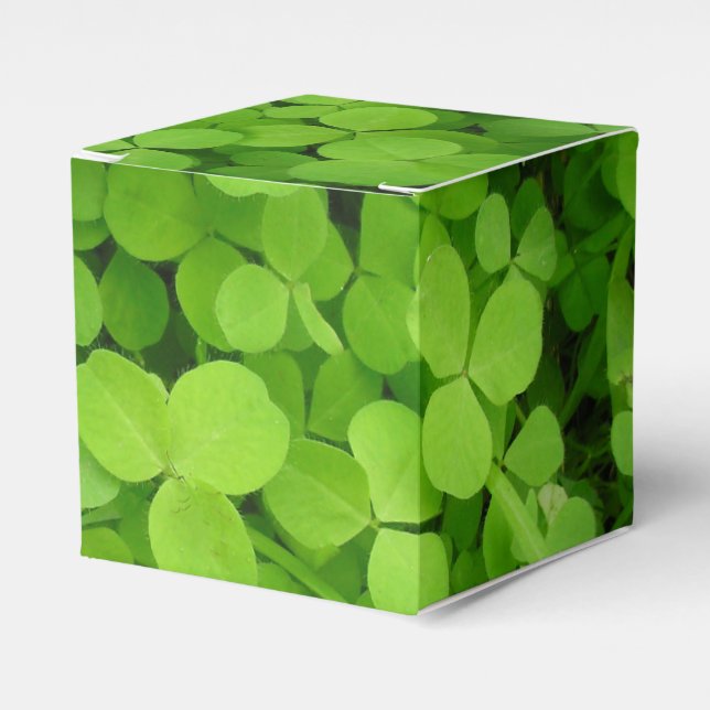 Lucky Shamrocks! Favour Box (Front Side)