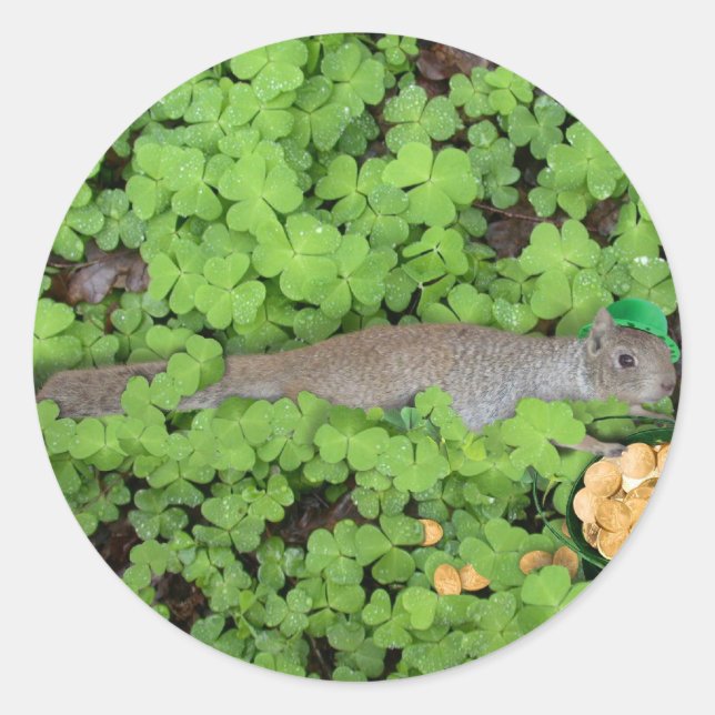 Lucky Squirrel in Clovers Classic Round Sticker (Front)
