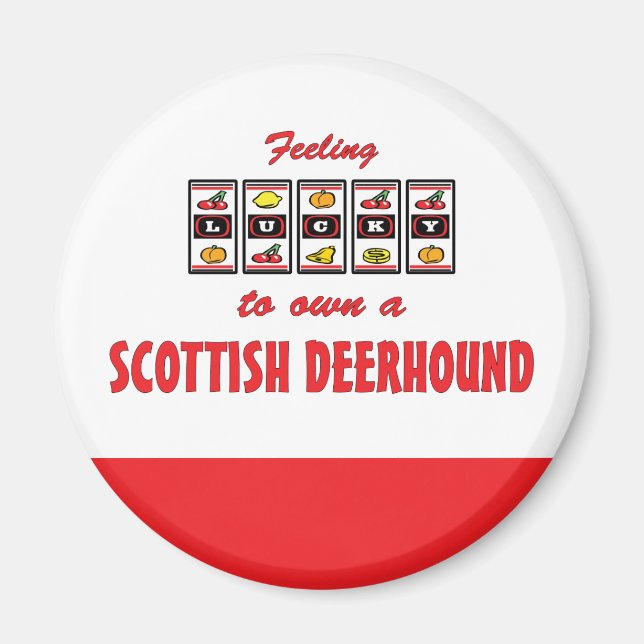 Lucky to Own a Scottish Deerhound Fun Dog Design Magnet (Front)
