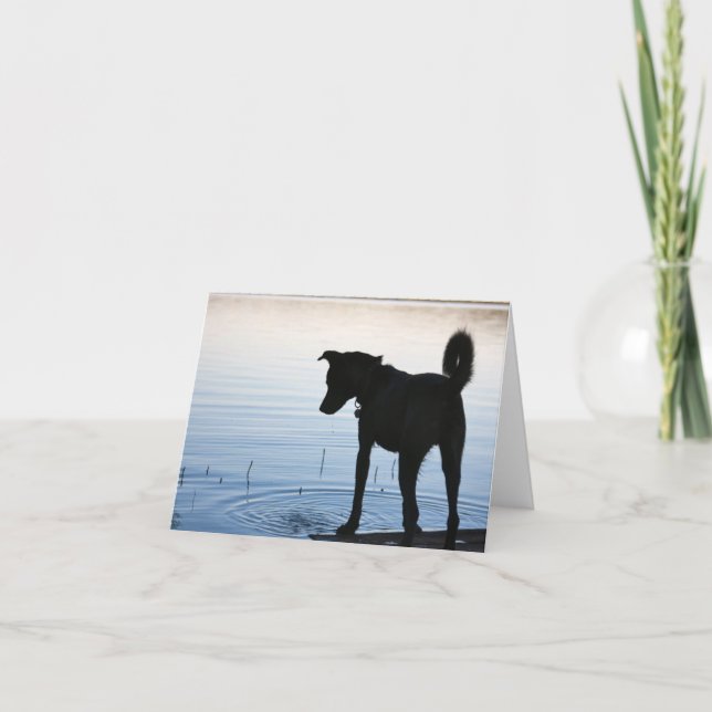 Lucky's Favourite Spot Note Card (Front)