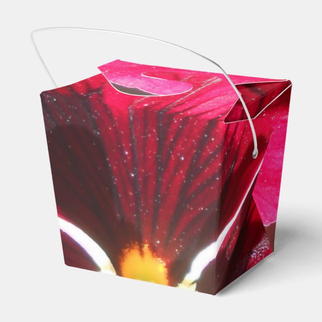 Lucrezia Favour Box (Back Side)
