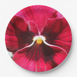 Lucrezia Paper Plate