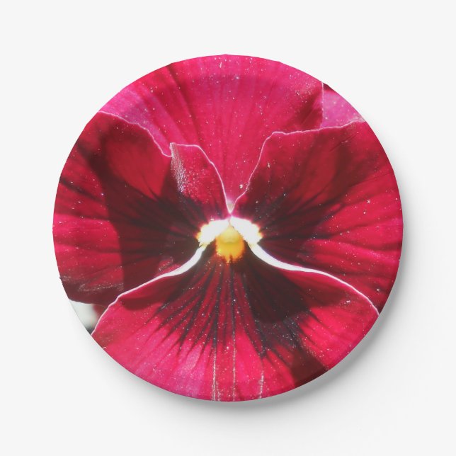 Lucrezia Paper Plate (Front)