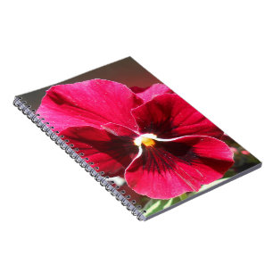 Lucrezia Spiral Notebook