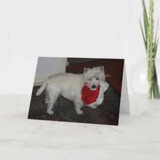 lucy_hat card