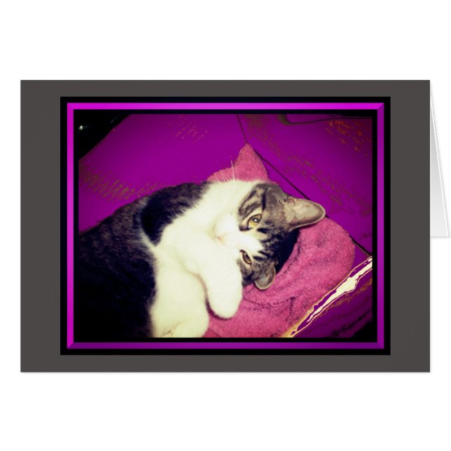 Lucy Kitty Note Cards (Front Horizontal)