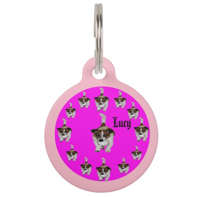 Lucy The Fox Terrier, Pet Tag (Back)