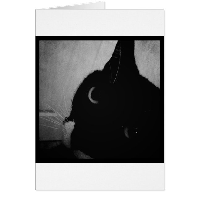 Lucy's Crazy Close-up (Front)