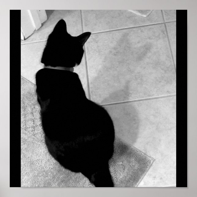 Lucy's Shadow B+W Poster (Front)