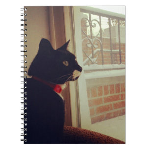 Lucy's Snow Day Notebook