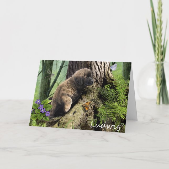 Ludwig the Leonberger Puppy Greeting Card (Front)