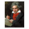 Ludwig van Beethoven Portrait