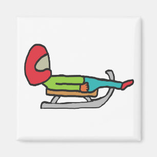 Luge Magnet