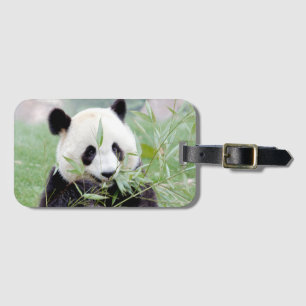 Luggage giant panda 2 . luggage tag