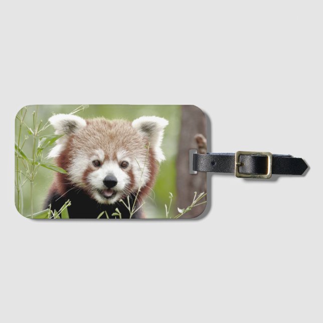 Luggage panda 3 . luggage tag (Front Horizontal)