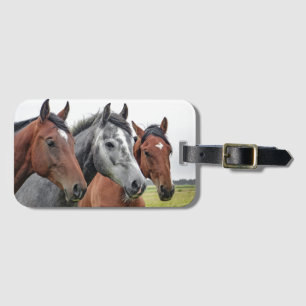 Luggage Tag & BusinessCard Slot for Horse Lovers