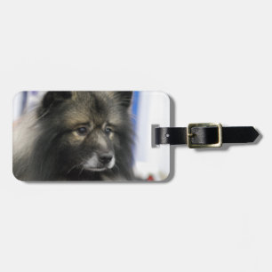 Luggage Tag - Customised