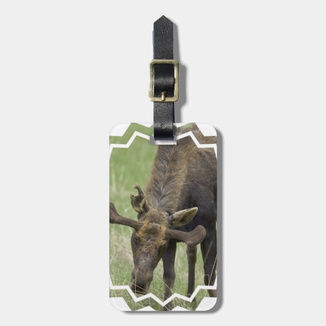Luggage Tag - Customised (Front Vertical)