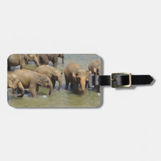 Luggage Tag - Customised