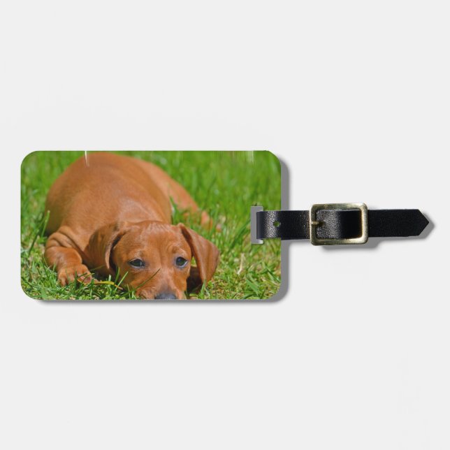 Luggage Tag - Customised (Front Horizontal)